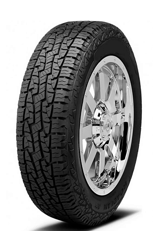 Купить шины Roadstone Roadian A/T Pro RA8 265/70 R15 112S